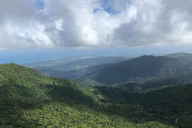 El Yunque National Park Rainforest
